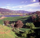 Motel Royal Tara - Binalong - New South Wales Tourism 