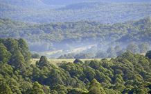 Nowendoc NSW New South Wales Tourism 