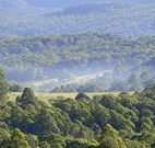 Nowendoc Country Motel - Nowendoc - New South Wales Tourism 