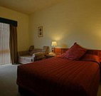 Seaton Arms Motor Inn - Albury - New South Wales Tourism 
