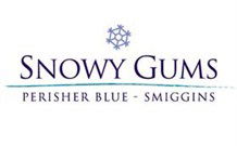 Snowy Gums Chalet - Smiggin Holes - New South Wales Tourism  2