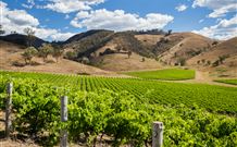 Soldiers Motel - Mudgee - New South Wales Tourism  6