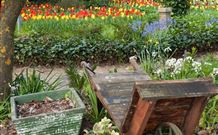 Bungendore NSW New South Wales Tourism 