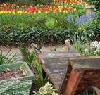 The Carrington Inn - New South Wales Tourism 