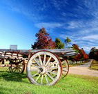 Oaks Ranch  Country Club - New South Wales Tourism 