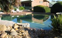 Thunderbird Motel - Yass - New South Wales Tourism  0