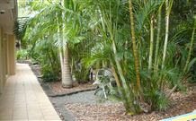 Tiarri Terrigal - Terrigal - New South Wales Tourism  2