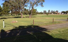 Town And Country Motor Inn Forbes - Forbes - New South Wales Tourism  1