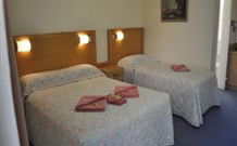 Wellington Motor Inn - Wellington - New South Wales Tourism  1
