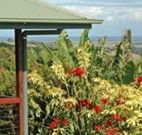 Alstonville Country Cottages - New South Wales Tourism 