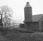 Ashmar Farm Stay - New South Wales Tourism 