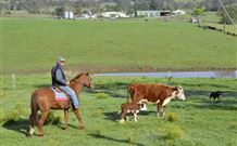 Ashmar Farm Stay - New South Wales Tourism  3