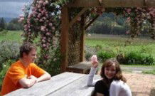 Back Forest Retreat - New South Wales Tourism  0