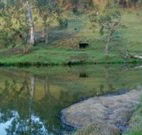 Barkeldine Farm Country Retreat - New South Wales Tourism 