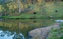 Barkeldine Farm Country Retreat - New South Wales Tourism  0