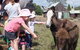 Barkeldine Farm Country Retreat - thumb 2
