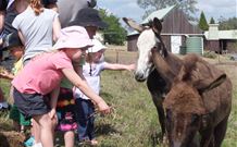 Barkeldine Farm Country Retreat - New South Wales Tourism  2