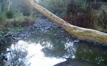 Barkeldine Farm Country Retreat - New South Wales Tourism  3