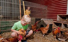 Bilpin NSW New South Wales Tourism