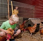 Bilpin Springs Lodge - New South Wales Tourism 