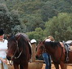 Clark Bay Cottages - New South Wales Tourism 