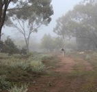 Heritage Park Bathurst - New South Wales Tourism 