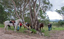 Hidden Valley Farm - New South Wales Tourism  1