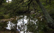 Hidden Valley Farm - New South Wales Tourism  0