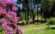 Historic Roseneath Station - New South Wales Tourism  5