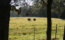 Historic Roseneath Station - New South Wales Tourism  6
