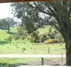 Hosanna Farm Retreat - New South Wales Tourism 