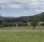 Ingleden Park Bed And Breakfast Farmstay Cottages - New South Wales Tourism 