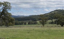 Ingleden Park Bed And Breakfast Farmstay Cottages - New South Wales Tourism  0