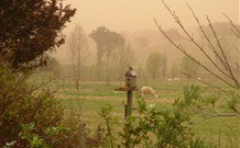 Joselands Country Accommodation - New South Wales Tourism  3