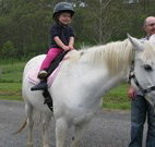 Mansfield Cottage Barrington Tops Accommodation - New South Wales Tourism 