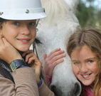 Mayfield Vineyard Cottages - New South Wales Tourism 