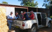 Mesopotamia Lodge Deer Park Accommodation - New South Wales Tourism  4