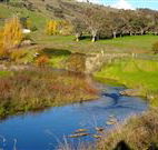 Ralda's Cottage - New South Wales Tourism 