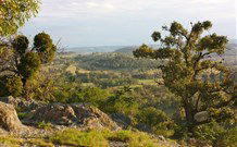 San Michele Resort - New South Wales Tourism  6