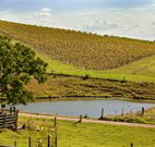 Sanctuary Hill Retreat - New South Wales Tourism 