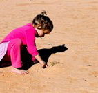Stony Creek Farm B and B - New South Wales Tourism 