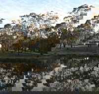 Greysen Farmstay - New South Wales Tourism 
