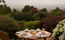 Barefoot Springs Bed And Breakfast - New South Wales Tourism  0