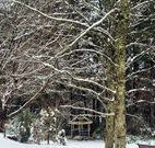 Bethany Manor Bed and Breakfast - New South Wales Tourism 