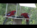 Bower At Broulee - New South Wales Tourism  1