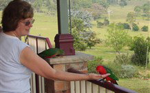 Bryn Glas Bed And Breakfast - New South Wales Tourism  1
