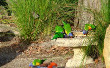 Bushview Cottage - New South Wales Tourism  5