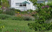 Chinoiserie B And B - New South Wales Tourism  1