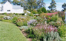 Chinoiserie B And B - New South Wales Tourism  4