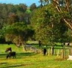 Giba Gunyah Country Cottages - New South Wales Tourism 